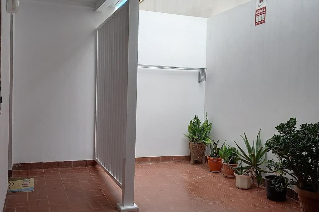 Amplio Apartamento Con Vistas Privilegiadas Garachico  Εξωτερικό φωτογραφία